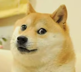 곰탱이
